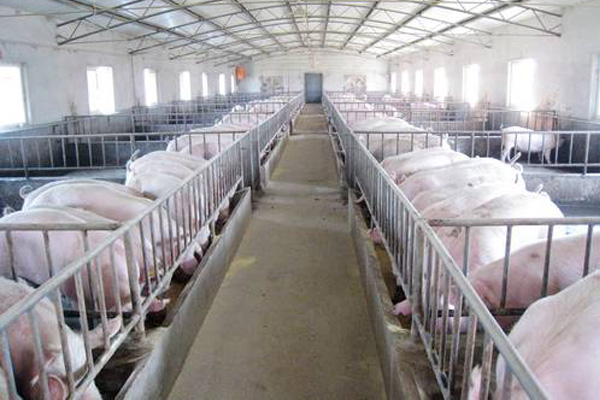 How to build a breeding farm?