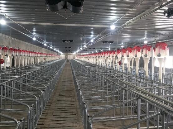 What matters should we pay attention to in the construction of a pig breeding farm?